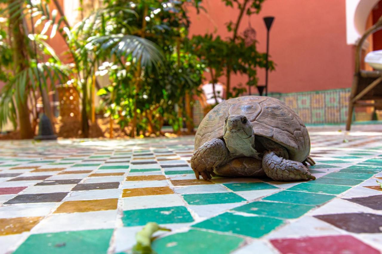 Riad Kaiss By Anika Marraquexe Exterior foto